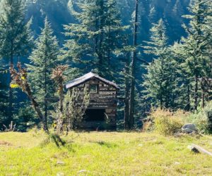 Jibhi – I call it Mini Heaven!!