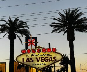Las Vegas Video Guide!